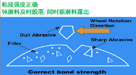 关于金相切割