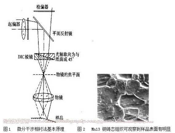 显微镜观察方式——微分干涉相衬法（DIC)
