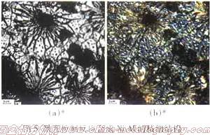 显微镜观察方式——微分干涉相衬法（DIC)
