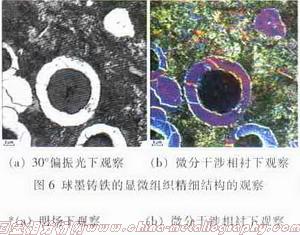 显微镜观察方式——微分干涉相衬法（DIC)